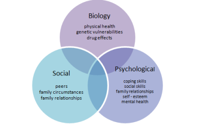 The Biopsychosocial Approach