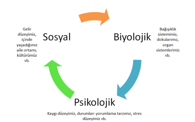 BİYOPSİKOSOSYAL YAKLAŞIM NEDİR? 