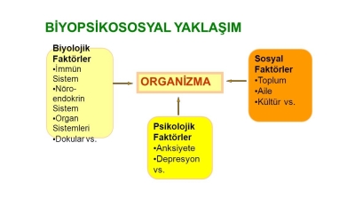 PATOLOJİK KUMAR OYNAMA: BİYOPSİKOSOSYAL YAKLAŞIM
