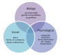The Biopsychosocial Approach