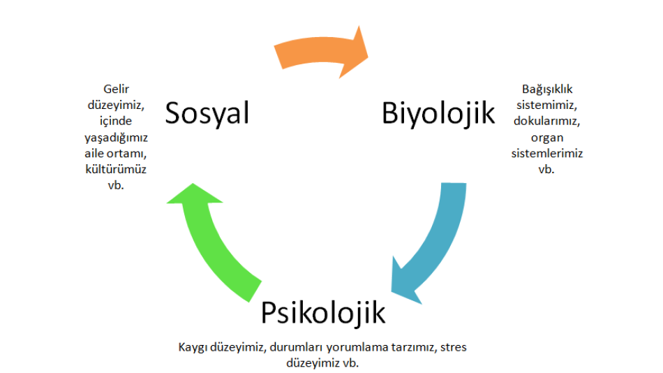 BİYOPSİKOSOSYAL YAKLAŞIM NEDİR? 