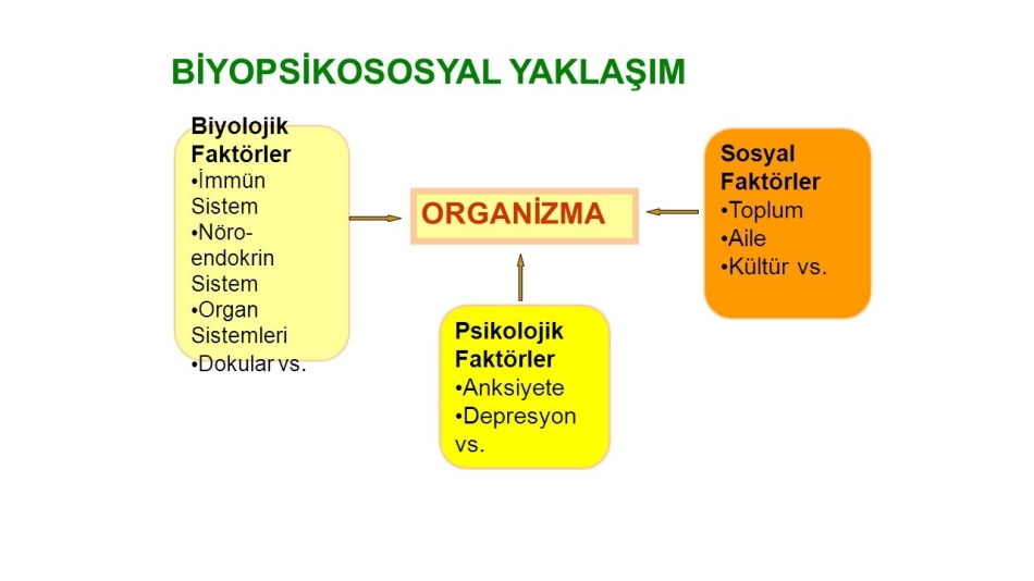 PATOLOJİK KUMAR OYNAMA: BİYOPSİKOSOSYAL YAKLAŞIM